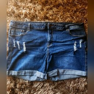 IRIS JEANS Plus Size Shorts